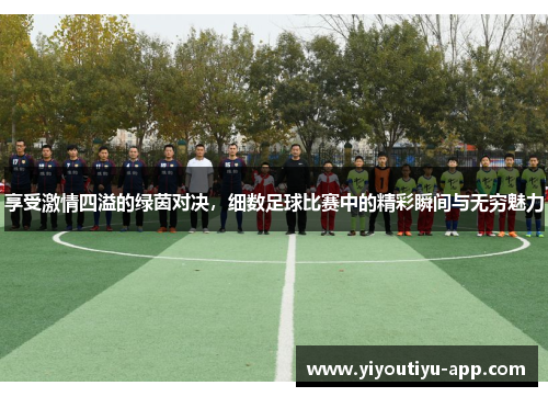享受激情四溢的绿茵对决，细数足球比赛中的精彩瞬间与无穷魅力